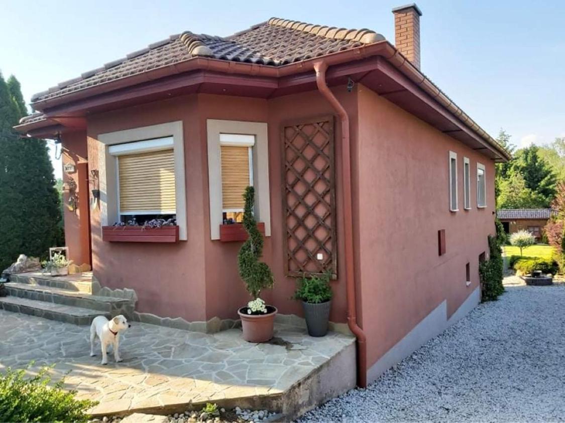 Nyirjes Vendeghaz Hotel Balassagyarmat Exterior photo