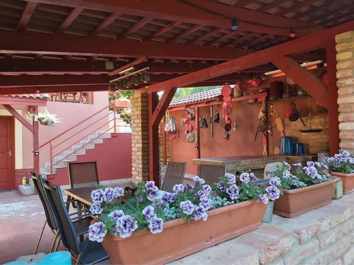 Nyirjes Vendeghaz Hotel Balassagyarmat Exterior photo