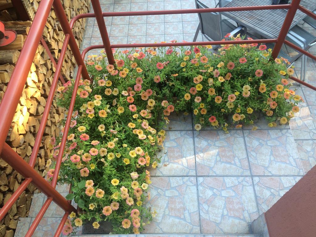 Nyirjes Vendeghaz Hotel Balassagyarmat Exterior photo