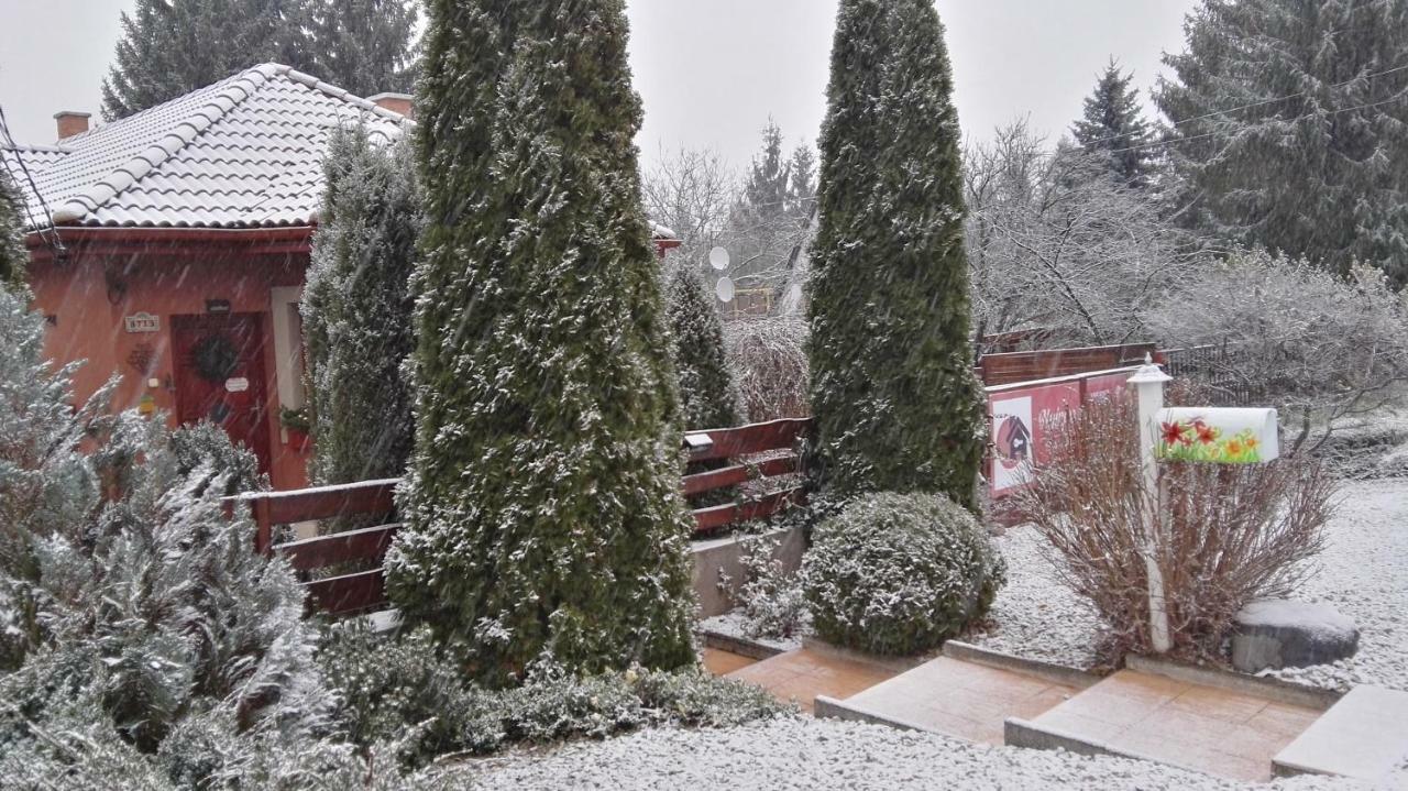 Nyirjes Vendeghaz Hotel Balassagyarmat Exterior photo